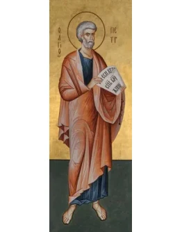 Петр, ап_021(79х221см)