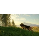 THEHUNTER: CALL OF THE WILD - BLOODHOUNDXBOXКЛЮЧ