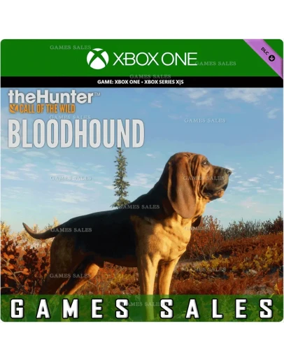 THEHUNTER: CALL OF THE WILD - BLOODHOUNDXBOXКЛЮЧ