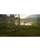 THEHUNTER: CALL OF THE WILD - BLOODHOUNDXBOXКЛЮЧ