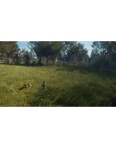 THEHUNTER: CALL OF THE WILD - BLOODHOUNDXBOXКЛЮЧ