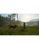 THEHUNTER: CALL OF THE WILD - BLOODHOUNDXBOXКЛЮЧ