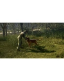 THEHUNTER: CALL OF THE WILD - BLOODHOUNDXBOXКЛЮЧ