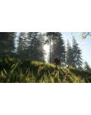 THEHUNTER: CALL OF THE WILD - BLOODHOUNDXBOXКЛЮЧ