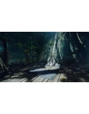 Ayahuasca АВТОДОСТАВКА STEAM GIFT РОССИЯ