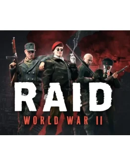 RAID: World War II Special Edition STEAM Аккаунт