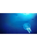 Nature Treks VR АВТОДОСТАВКА STEAM GIFT РОССИЯ