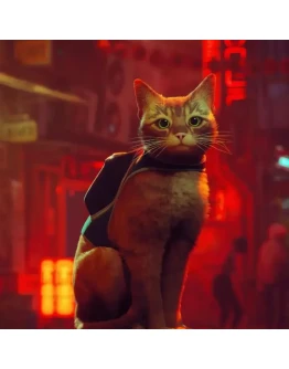 STRAY Xbox One & Xbox Series XS STRAY Xbox One & Xbox Series XS