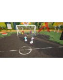 BIRD BALL АВТОДОСТАВКА STEAM GIFT РОССИЯ