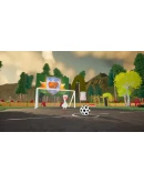 BIRD BALL АВТОДОСТАВКА STEAM GIFT РОССИЯ