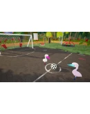 BIRD BALL АВТОДОСТАВКА STEAM GIFT РОССИЯ