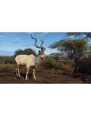 Way of the Hunter - Tikamoon Plains DLCSteam RU