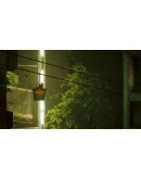 Stray Xbox One &amp Xbox Series XS активация