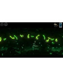 ALMOST MY FLOORXBOX ONEКЛЮЧ