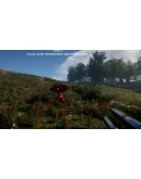 Forest Frenzy STEAM KEY REGION FREE GLOBAL ROW