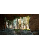 Native Hunter STEAM KEY REGION FREE GLOBAL ROW