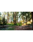 Native Hunter STEAM KEY REGION FREE GLOBAL ROW