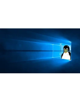 Pengwin Windows 10 ПК КЛЮЧ