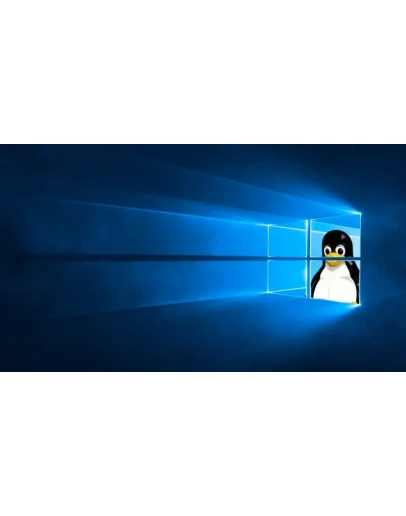 Pengwin Windows 10 ПК КЛЮЧ