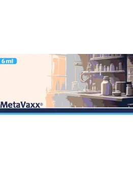 Metavaxx АВТОДОСТАВКА STEAM GIFT РОССИЯ