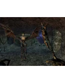 The Elder Scrolls III: Morrowind GOTY - STEAM GIFT RU