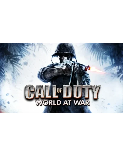 Call of Duty: World at WarSTEAM Аккаунтна 90 дней