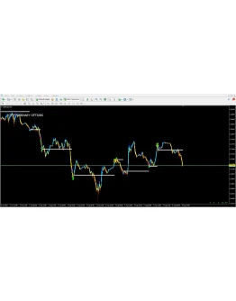 Crypto Binary Options Crypto Binary Options