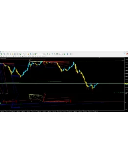 Forex Institute