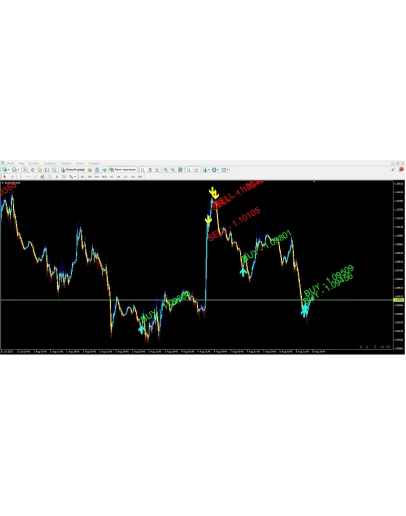Forex ZUBR