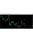 Forex ZUBR