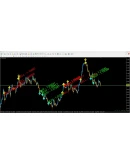 Forex ZUBR