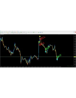 Forex ZUBR Modification
