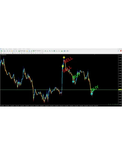 Forex ZUBR Modification