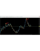Forex ZUBR Modification