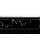 Torgun Profit