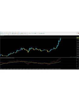 Traders Dynamic Index Traders Dynamic Index