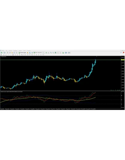 Traders Dynamic Index