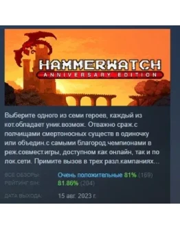 Hammerwatch Anniversary Edition STEAM GIFT РОССИЯ Hammerwatch Anniversary Edition STEAM GIFT РОССИЯ
