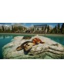 Jurassic World Evolution 2: Prehistoric Marine Species