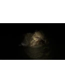 Deathlike: Awakening АВТОДОСТАВКА STEAM GIFT РОССИЯ