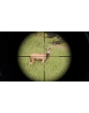 Project Hunt АВТОДОСТАВКА STEAM GIFT РОССИЯ