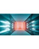 PROTOCOLXBOX ONE/XSКЛЮЧ