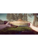 THE FOREST CATHEDRALXBOX XSКЛЮЧ