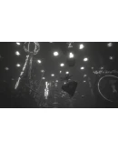 WHITE SHADOWSXBOX XSКЛЮЧ