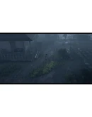 ECO HOLE АВТОДОСТАВКА STEAM GIFT РОССИЯ