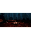 Apparition SteamРФ+Весь МирKey + Бонус