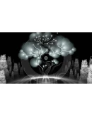 Onde SteamРФ+Весь МирKey + Бонус