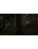 The Forest * STEAM РОССИЯ АВТОДОСТАВКА 0 КАРТЫ