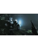 Hunt: Showdown - Legends of the Bayou DLC * STEAM RU