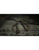 Hunt: Showdown Reap What You Sow DLC * STEAM RU